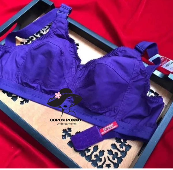 guddi bra 1