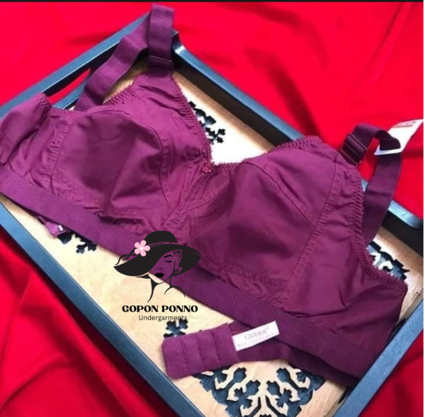 guddi bra 1